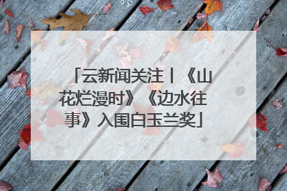 云新闻关注丨《山花烂漫时》《边水往事》入围白玉兰奖